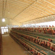 Cage de poulet de couche de batterie Vente pour la ferme du Pakistan faite en Chine